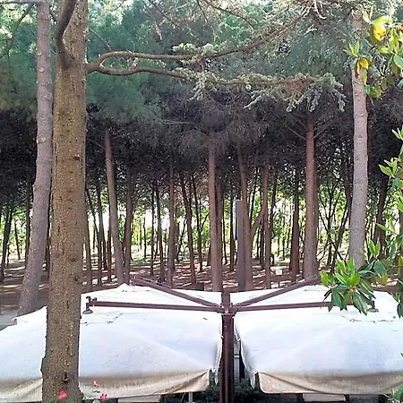 Hotel Antares Pinarella